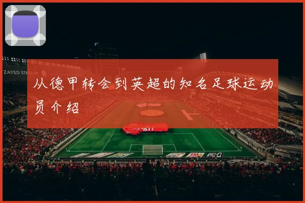 从德甲转会到英超的知名足球运动员介绍