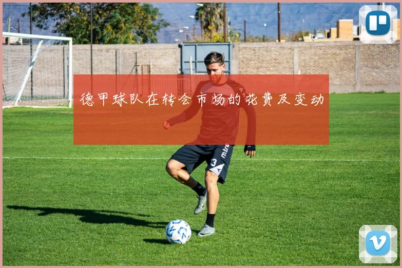 德甲球队在转会市场的花费及变动