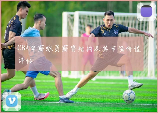 CBA年薪球员薪资结构及其市场价值评估