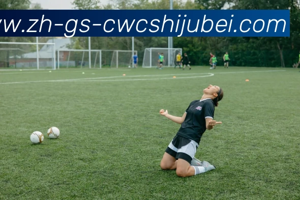 多媒体互动体验