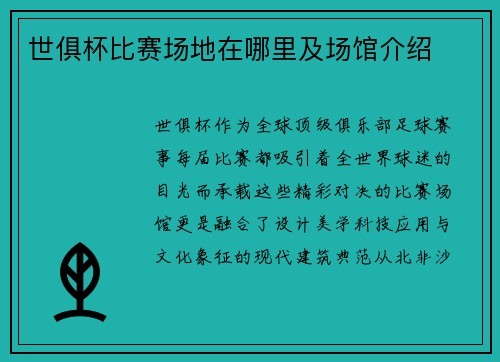 世俱杯比赛场地在哪里及场馆介绍